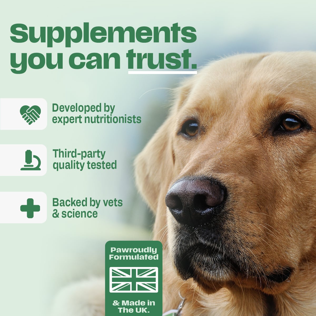 Canilabs trust badges — developed by expert nutritionists, third-party quality tested, backed by vets & science, made in the UK